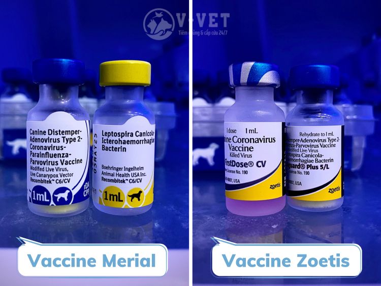 Vaccine-7-bệnh-cho-chó-Merial-và-Zoetis-vvet.vn