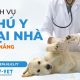 Dịch vụ bác sĩ thú y tại nhà ở Đà Nẵng là gì - VVet.vn